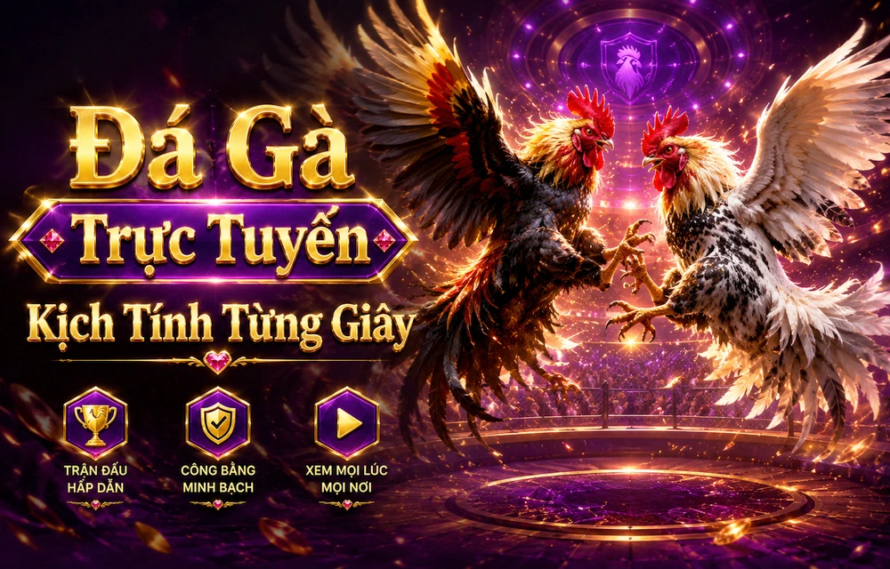 KINH NGHIỆM BET365: Cách Đọc Lịch Sử Phiên Và Kiểm Tra Giao Dịch